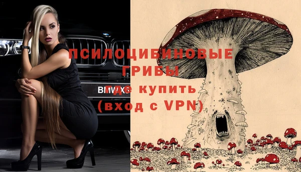 гидропоника Абинск