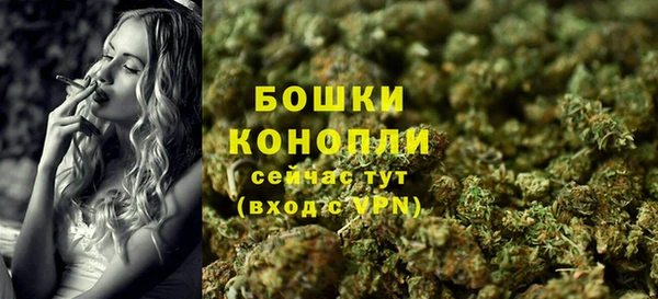 spice Осташков