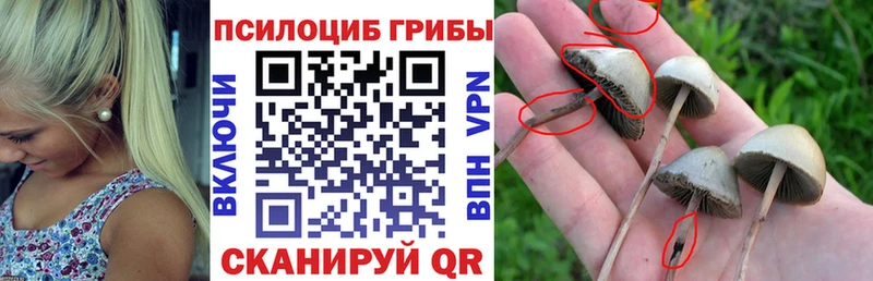маркетплейс какой сайт где можно купить наркотик Альметьевск Псилоцибиновые грибы Psilocybine cubensis