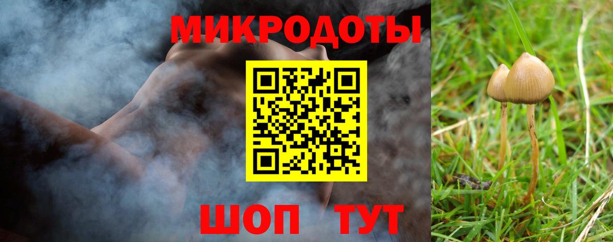 Псилоцибиновые грибы мицелий Альметьевск